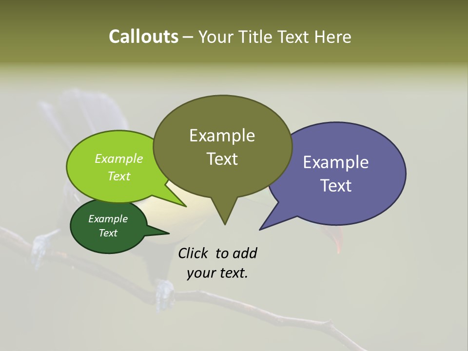 Outdoors Nicaragua Rainforest PowerPoint Template