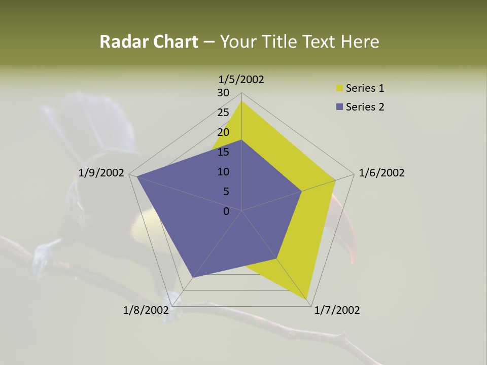 Outdoors Nicaragua Rainforest PowerPoint Template