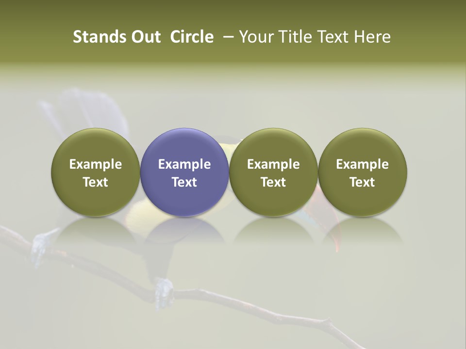 Outdoors Nicaragua Rainforest PowerPoint Template