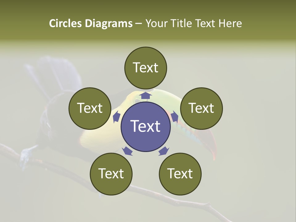 Outdoors Nicaragua Rainforest PowerPoint Template