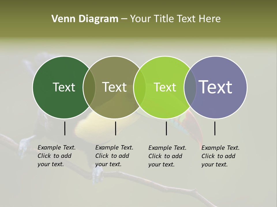 Outdoors Nicaragua Rainforest PowerPoint Template