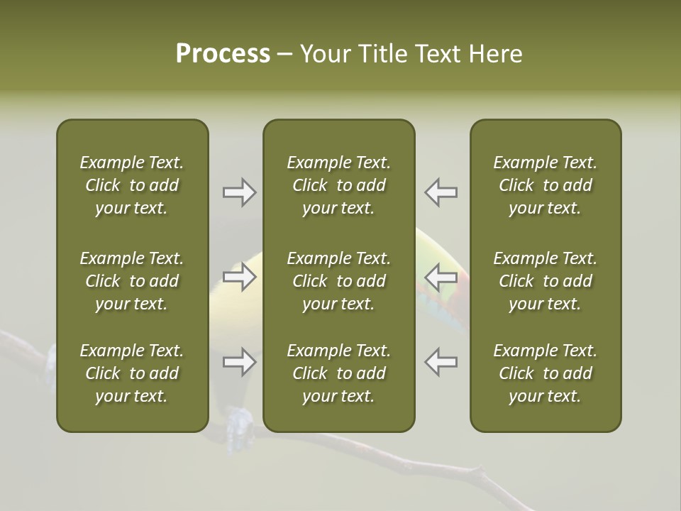 Outdoors Nicaragua Rainforest PowerPoint Template