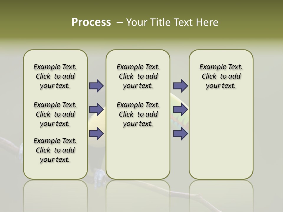 Outdoors Nicaragua Rainforest PowerPoint Template