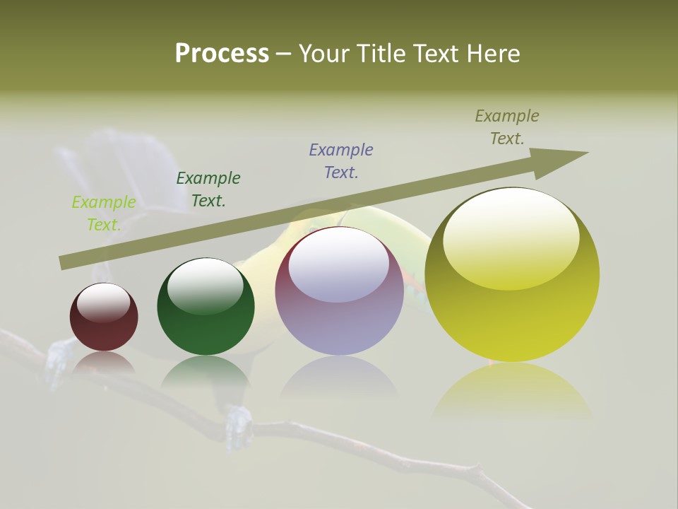 Outdoors Nicaragua Rainforest PowerPoint Template