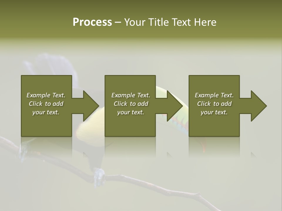 Outdoors Nicaragua Rainforest PowerPoint Template