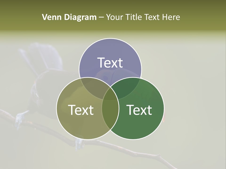 Outdoors Nicaragua Rainforest PowerPoint Template