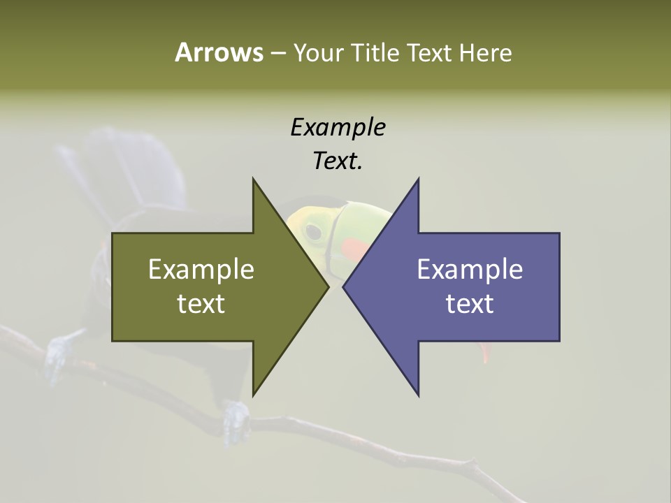 Outdoors Nicaragua Rainforest PowerPoint Template