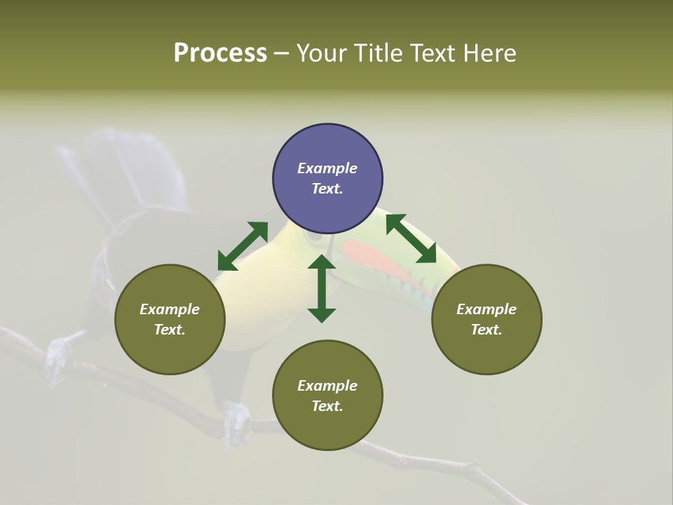 Outdoors Nicaragua Rainforest PowerPoint Template