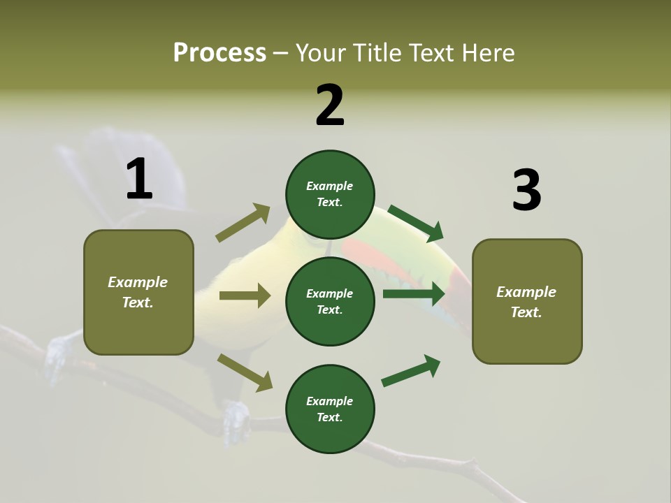 Outdoors Nicaragua Rainforest PowerPoint Template