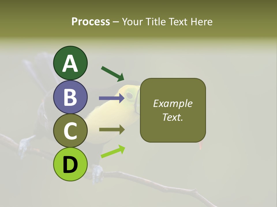 Outdoors Nicaragua Rainforest PowerPoint Template