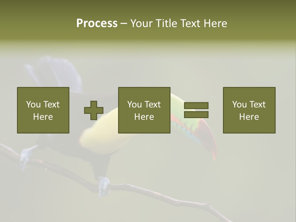 Outdoors Nicaragua Rainforest PowerPoint Template