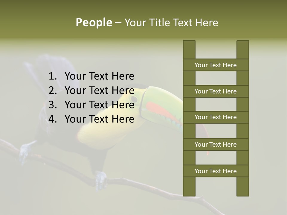 Outdoors Nicaragua Rainforest PowerPoint Template