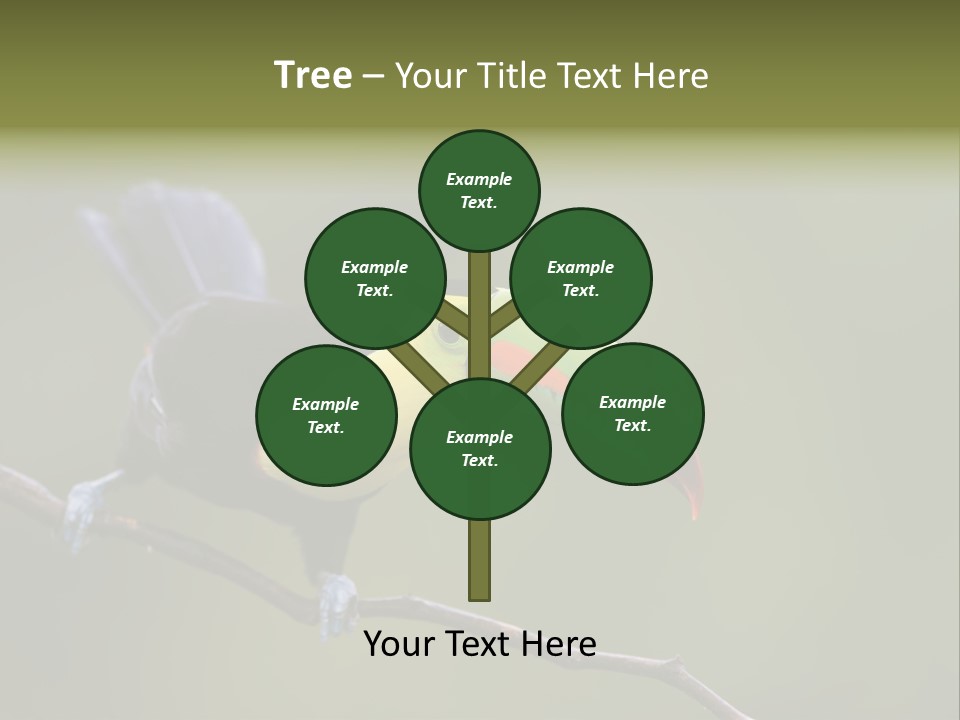 Outdoors Nicaragua Rainforest PowerPoint Template