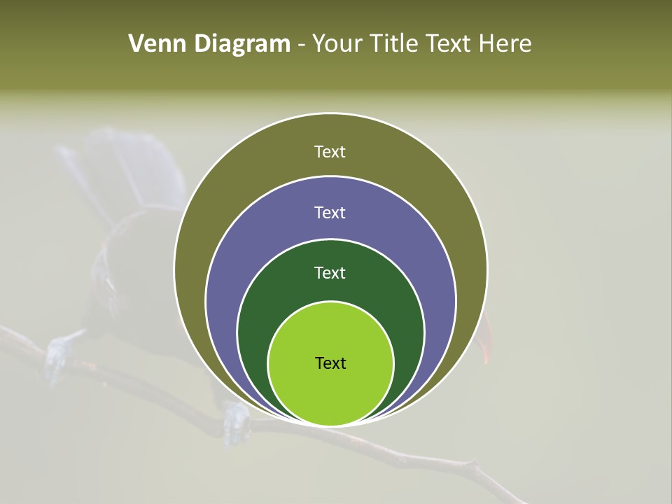 Outdoors Nicaragua Rainforest PowerPoint Template