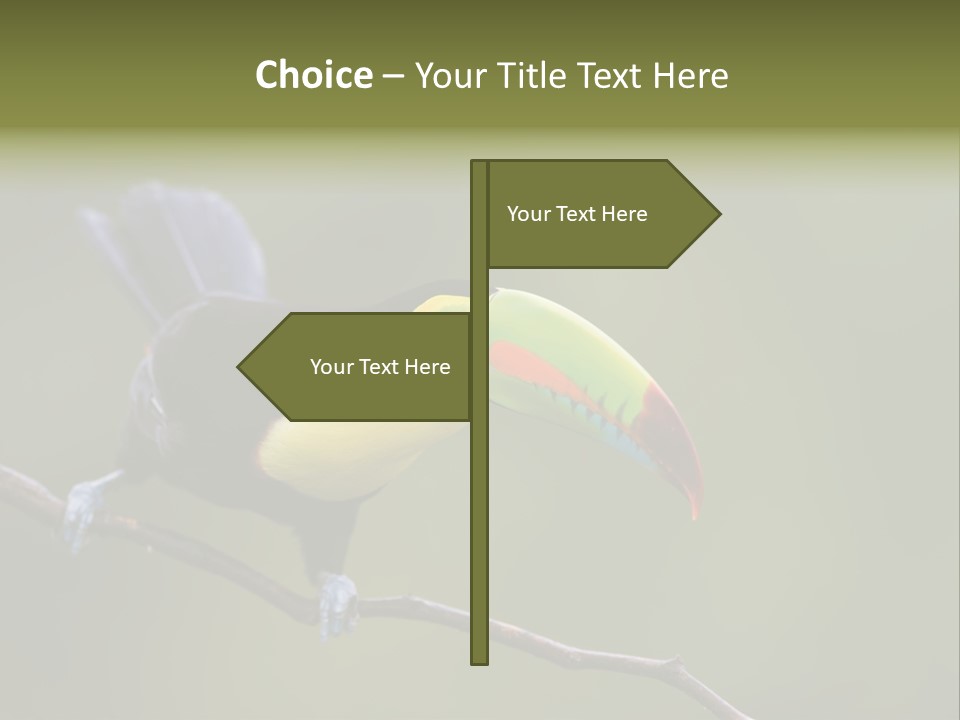 Outdoors Nicaragua Rainforest PowerPoint Template