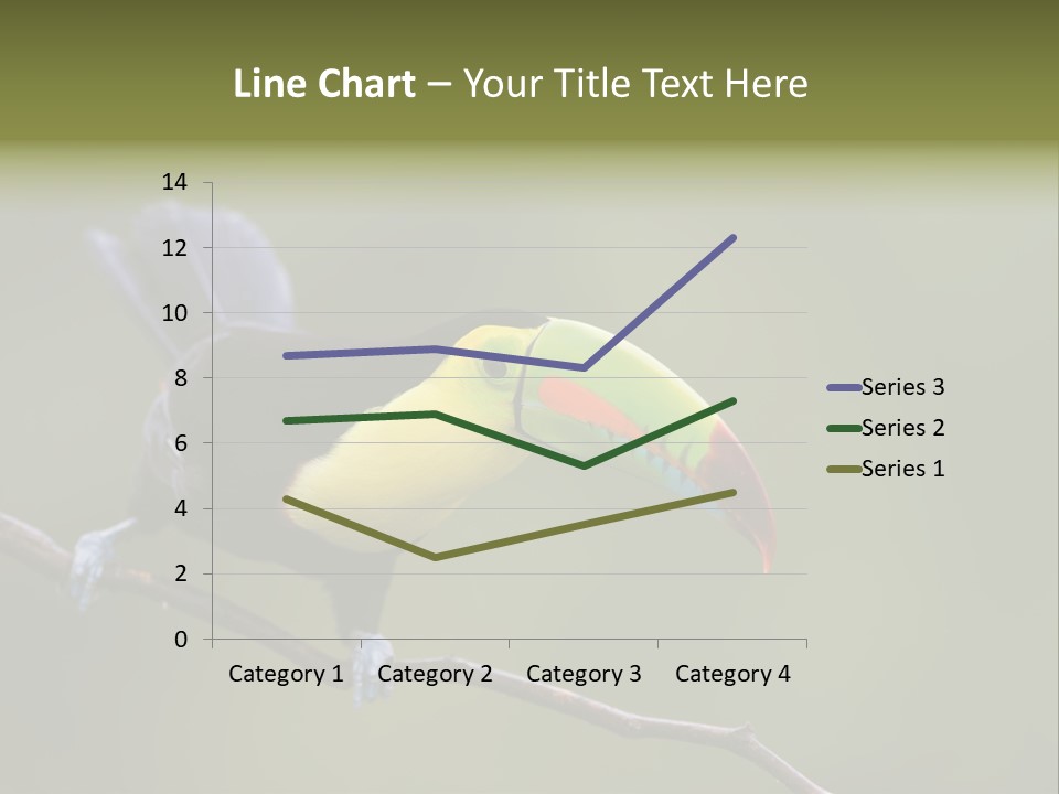 Outdoors Nicaragua Rainforest PowerPoint Template