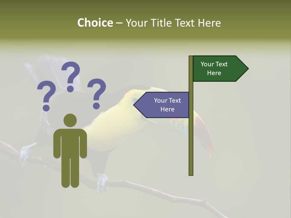 Outdoors Nicaragua Rainforest PowerPoint Template