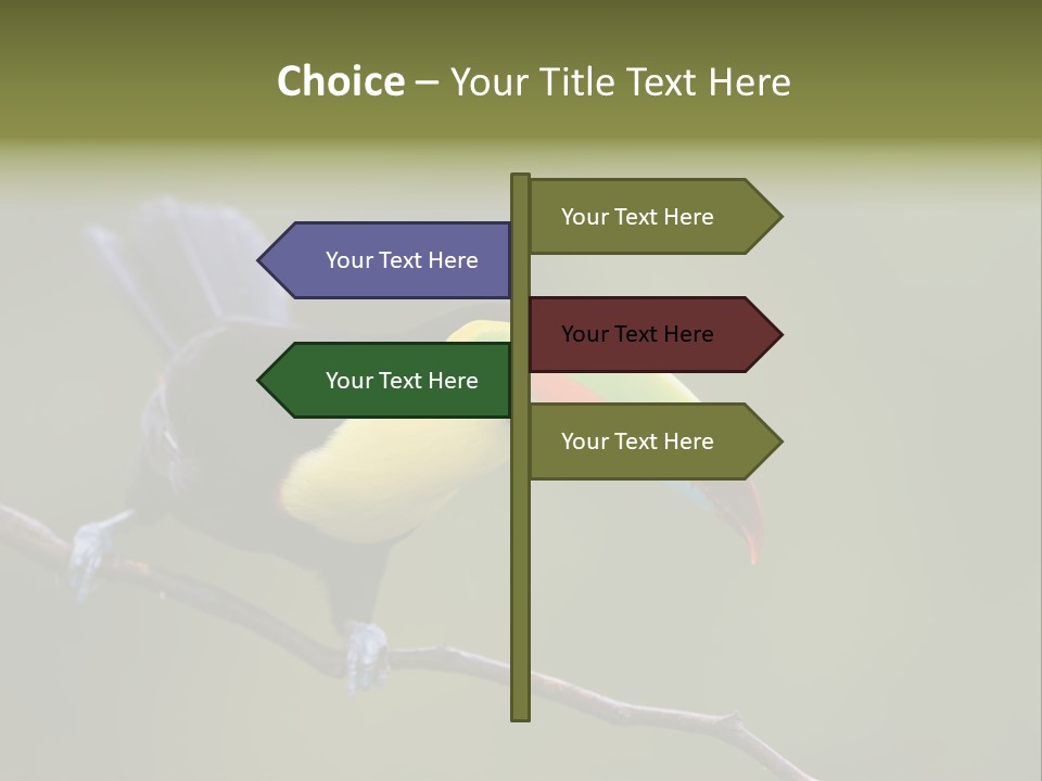 Outdoors Nicaragua Rainforest PowerPoint Template