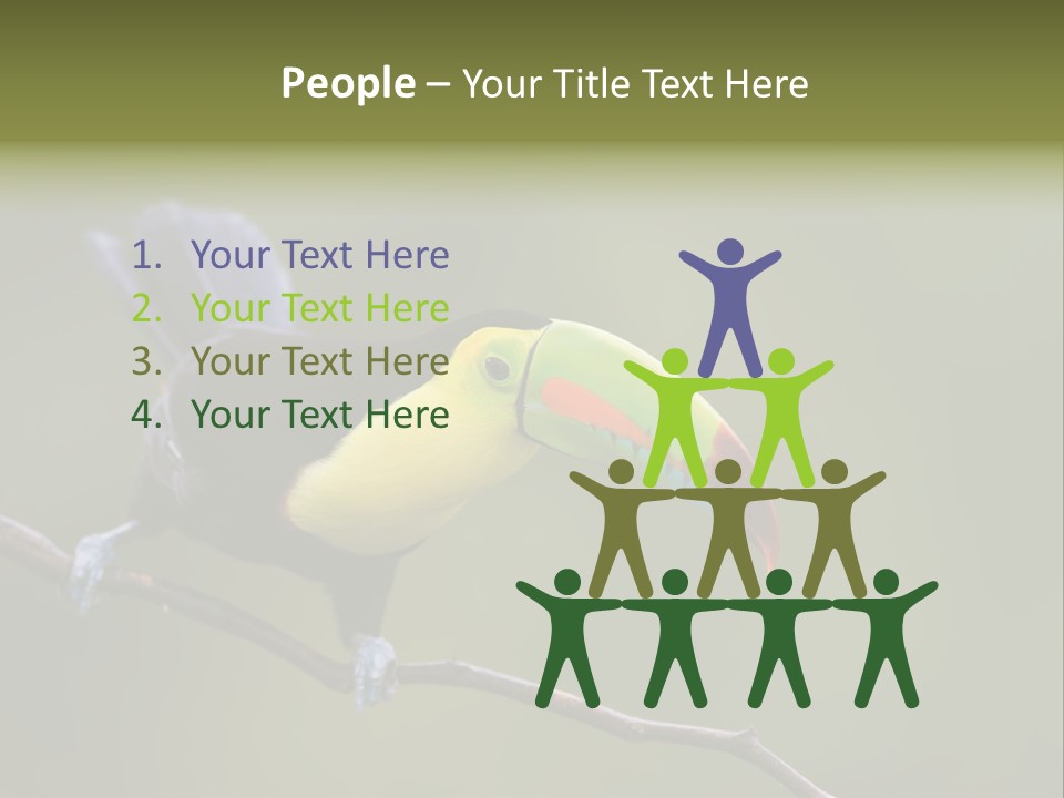 Outdoors Nicaragua Rainforest PowerPoint Template