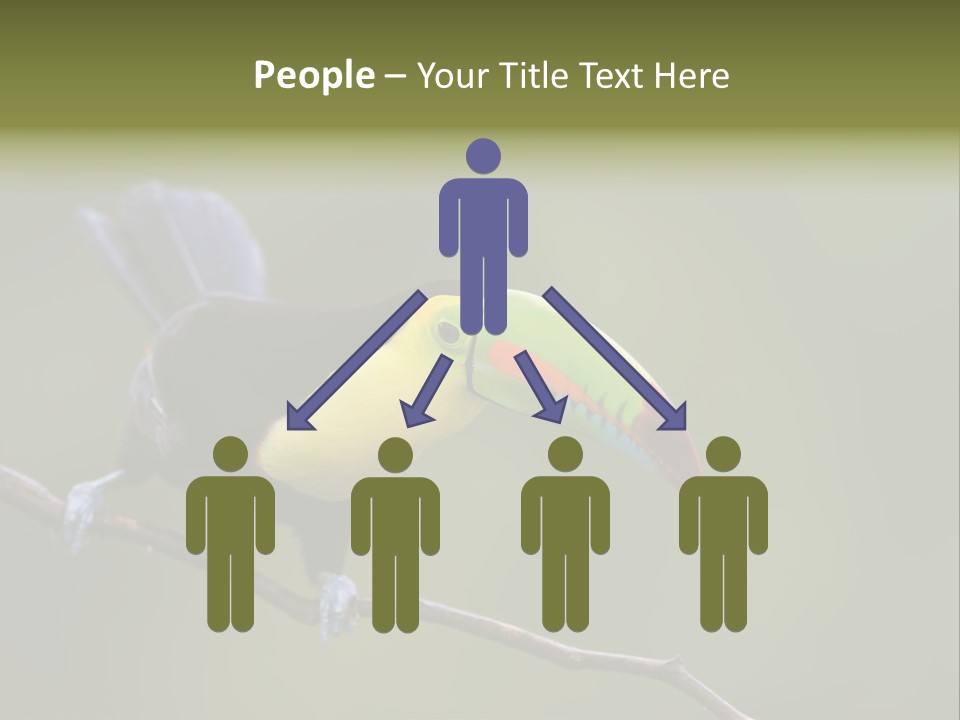 Outdoors Nicaragua Rainforest PowerPoint Template