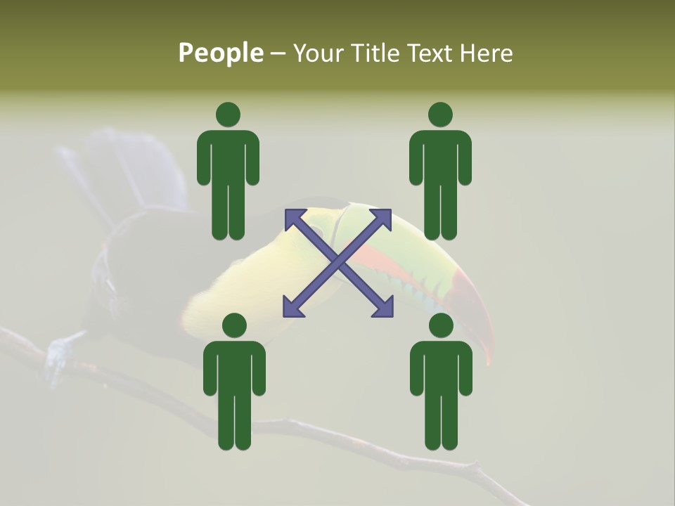 Outdoors Nicaragua Rainforest PowerPoint Template