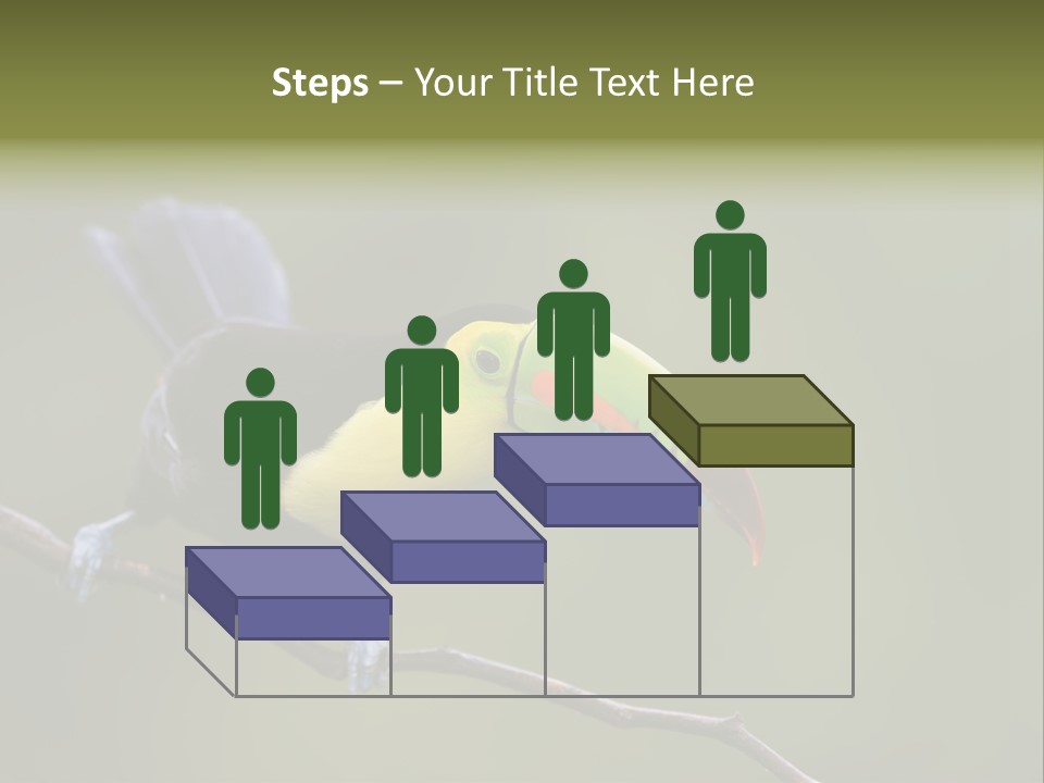 Outdoors Nicaragua Rainforest PowerPoint Template