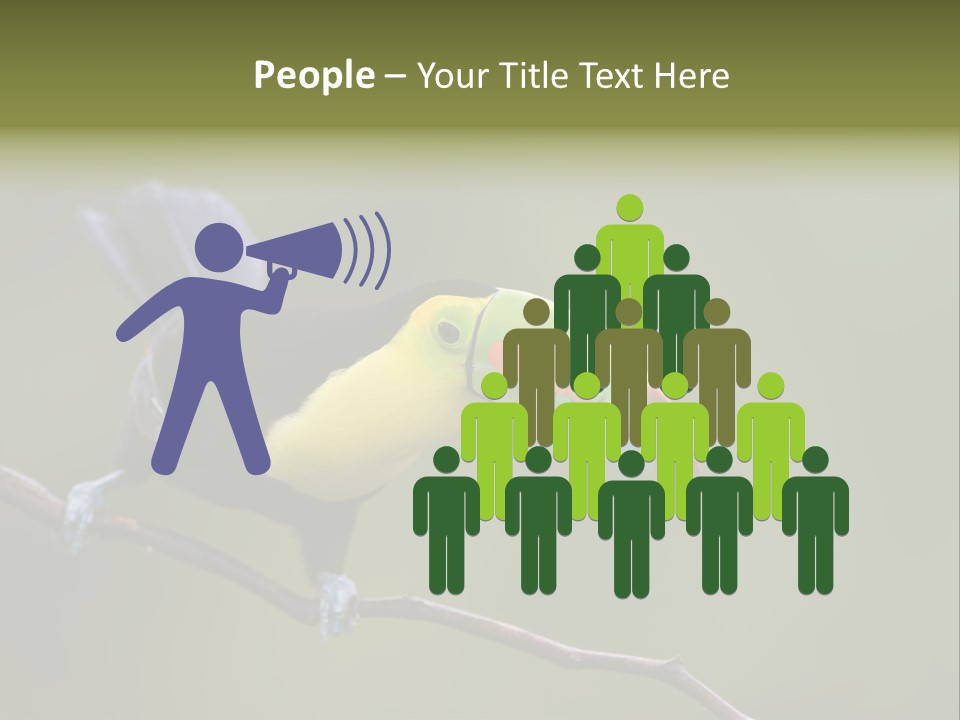 Outdoors Nicaragua Rainforest PowerPoint Template