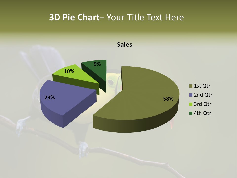 Outdoors Nicaragua Rainforest PowerPoint Template