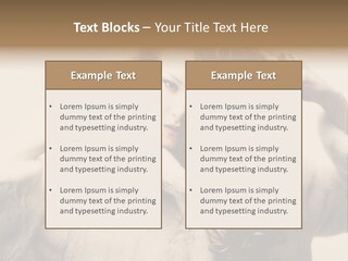 Winter Look Coat PowerPoint Template