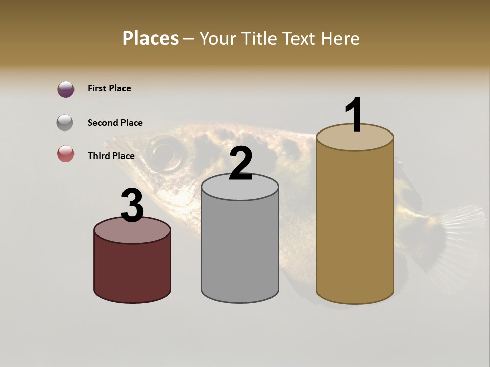 A Black And Yellow Fish Is In The Water PowerPoint Template