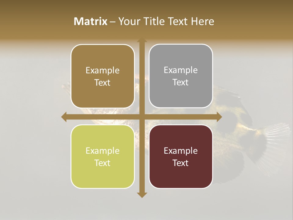 A Black And Yellow Fish Is In The Water PowerPoint Template