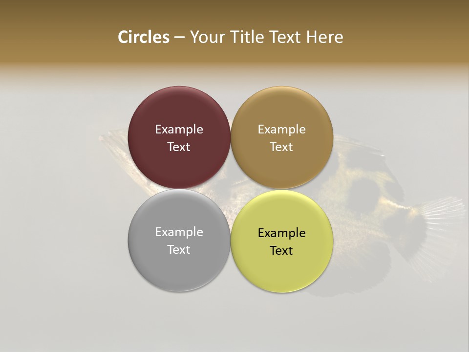 A Black And Yellow Fish Is In The Water PowerPoint Template