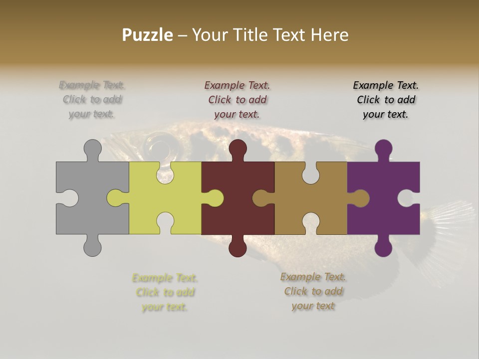 A Black And Yellow Fish Is In The Water PowerPoint Template