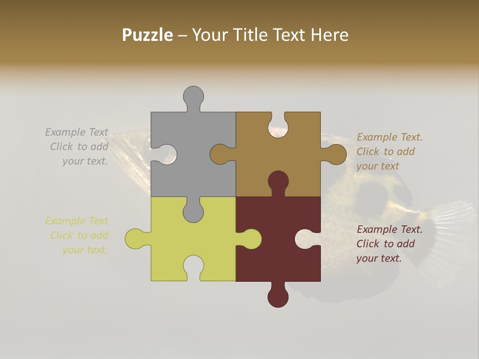 A Black And Yellow Fish Is In The Water PowerPoint Template