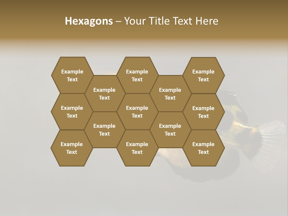 A Black And Yellow Fish Is In The Water PowerPoint Template