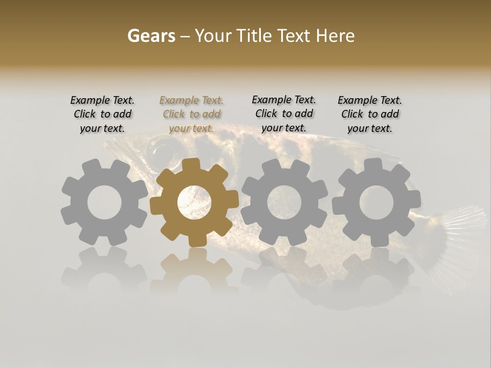 A Black And Yellow Fish Is In The Water PowerPoint Template