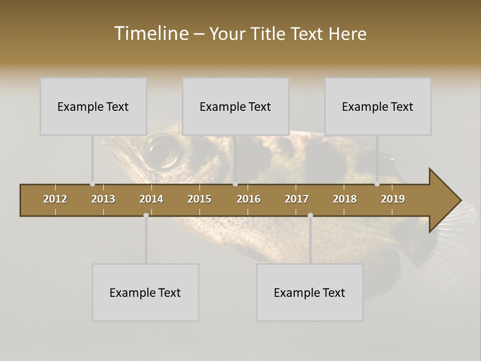 A Black And Yellow Fish Is In The Water PowerPoint Template