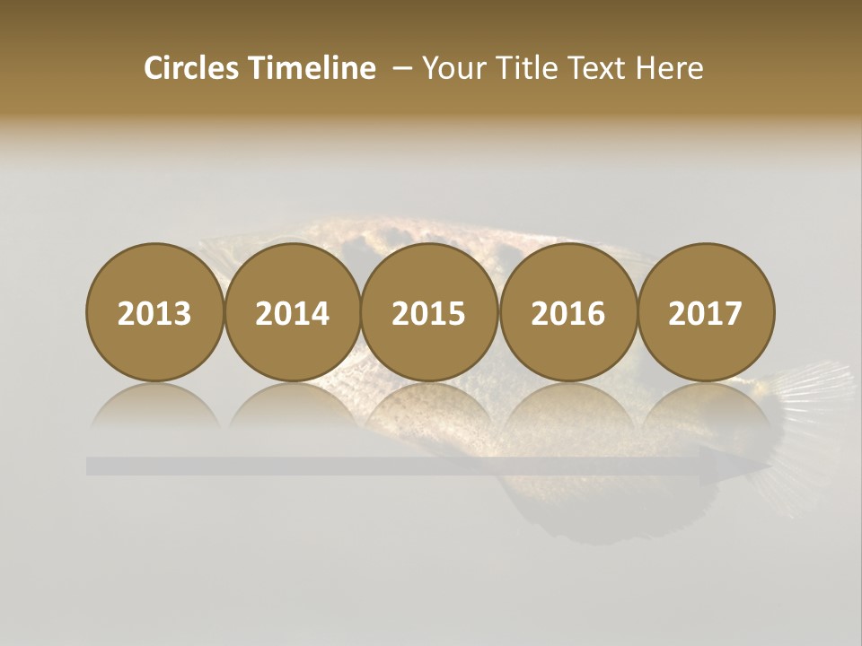 A Black And Yellow Fish Is In The Water PowerPoint Template