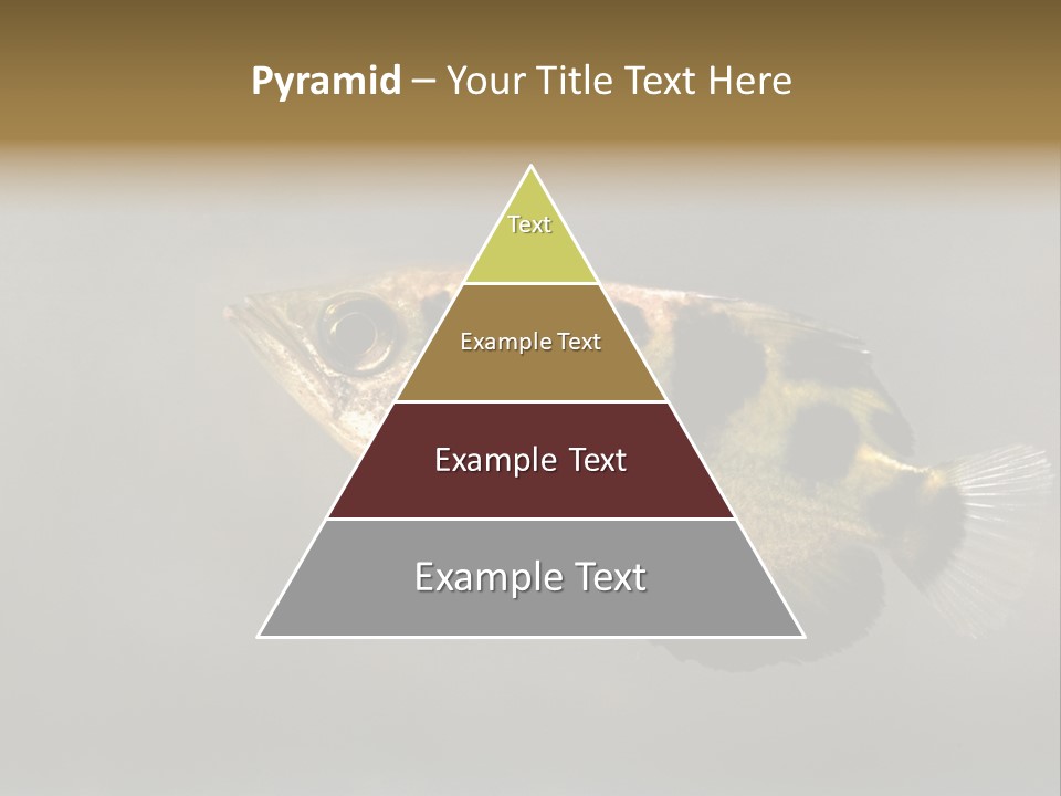 A Black And Yellow Fish Is In The Water PowerPoint Template