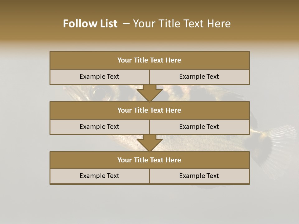 A Black And Yellow Fish Is In The Water PowerPoint Template