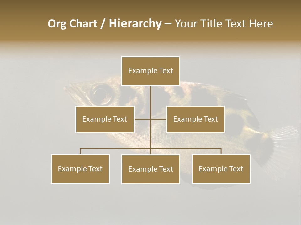 A Black And Yellow Fish Is In The Water PowerPoint Template