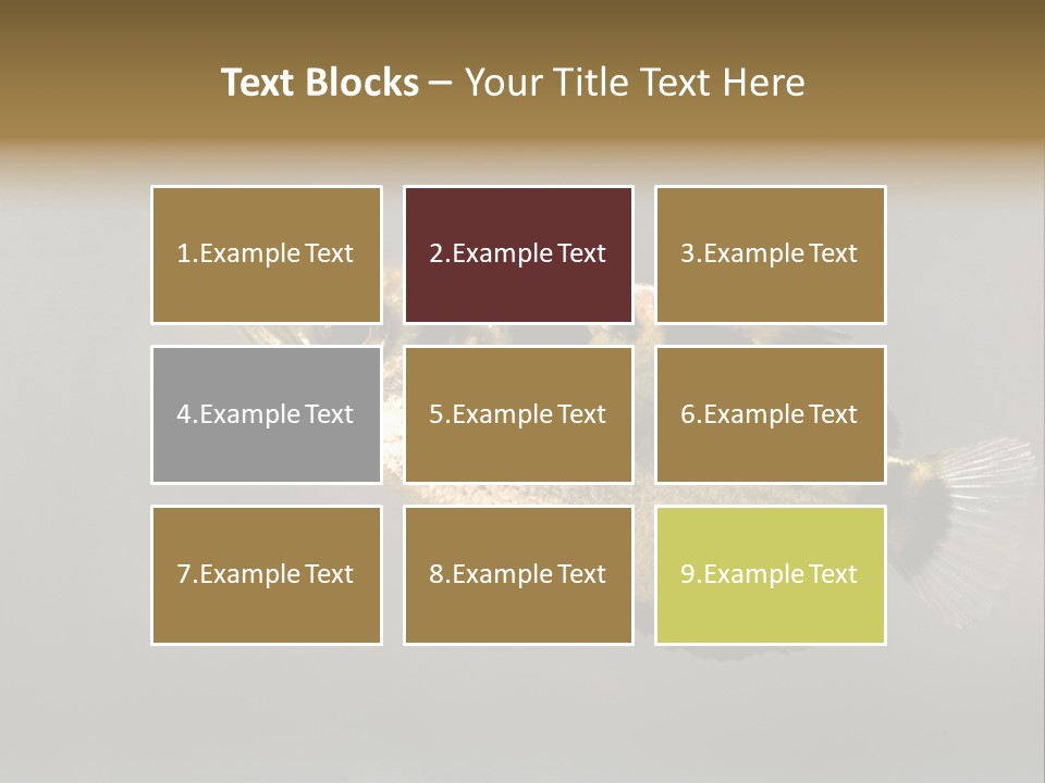 A Black And Yellow Fish Is In The Water PowerPoint Template