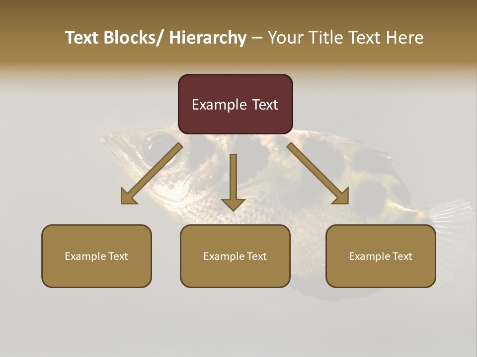 A Black And Yellow Fish Is In The Water PowerPoint Template