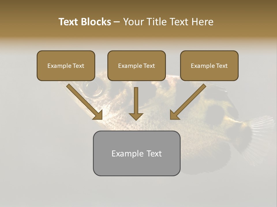 A Black And Yellow Fish Is In The Water PowerPoint Template