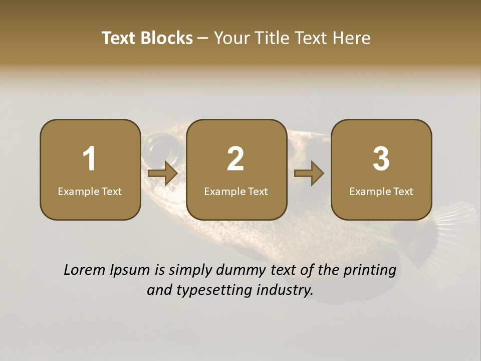 A Black And Yellow Fish Is In The Water PowerPoint Template