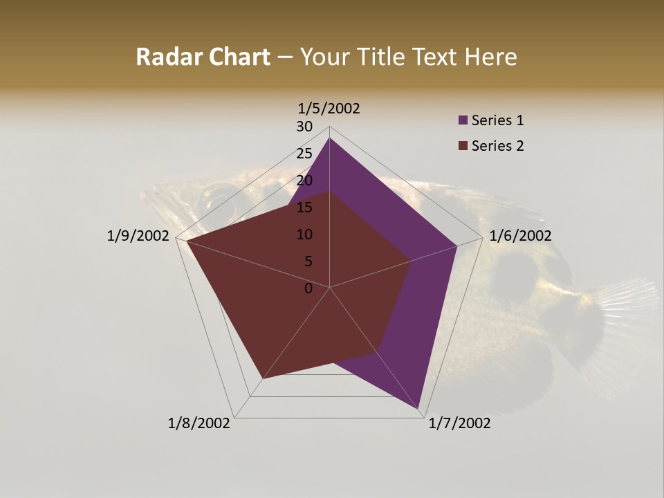 A Black And Yellow Fish Is In The Water PowerPoint Template