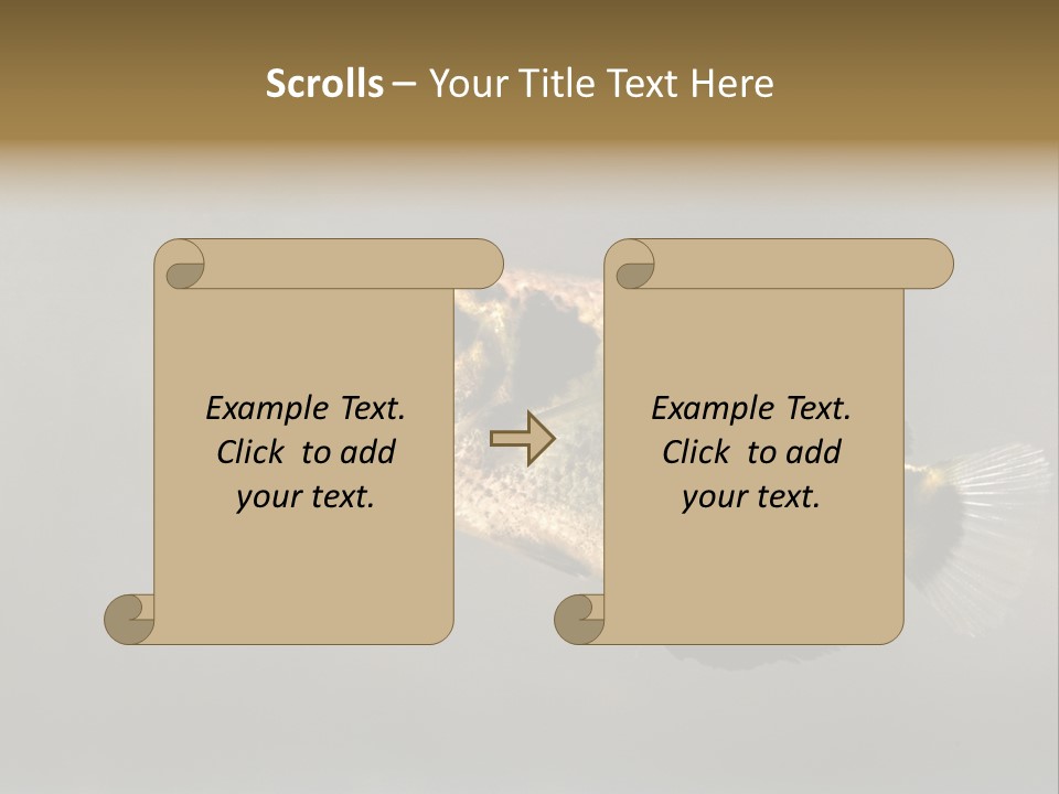 A Black And Yellow Fish Is In The Water PowerPoint Template