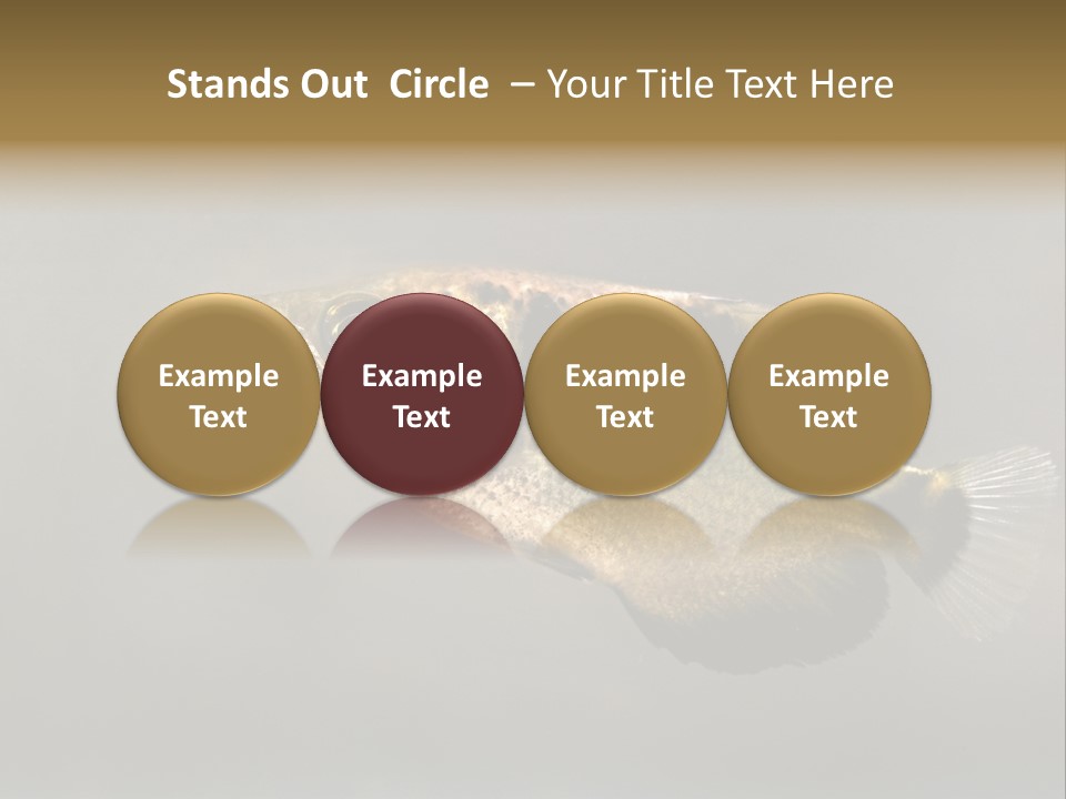 A Black And Yellow Fish Is In The Water PowerPoint Template