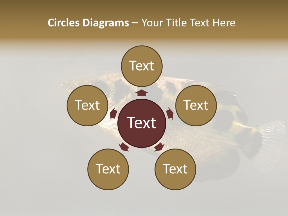 A Black And Yellow Fish Is In The Water PowerPoint Template