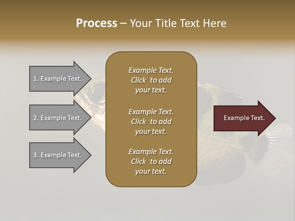 A Black And Yellow Fish Is In The Water PowerPoint Template